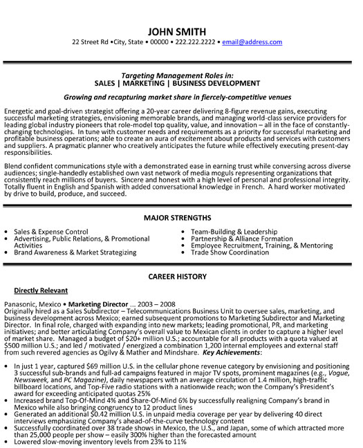 Marketing Director Resume Template Marketing Director Resume Template