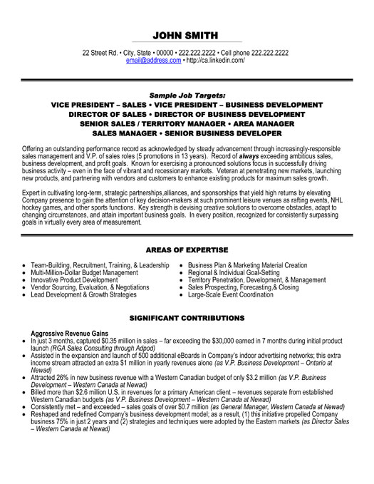 vice president of sales resume template