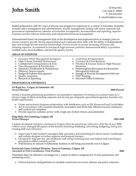 Small company owner resume