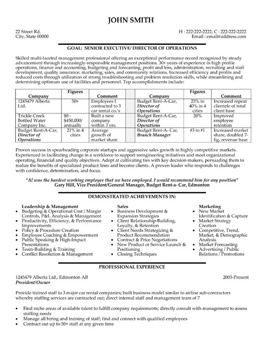 technology consultant resumes