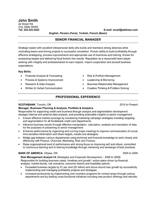 Resume Financial Manager 