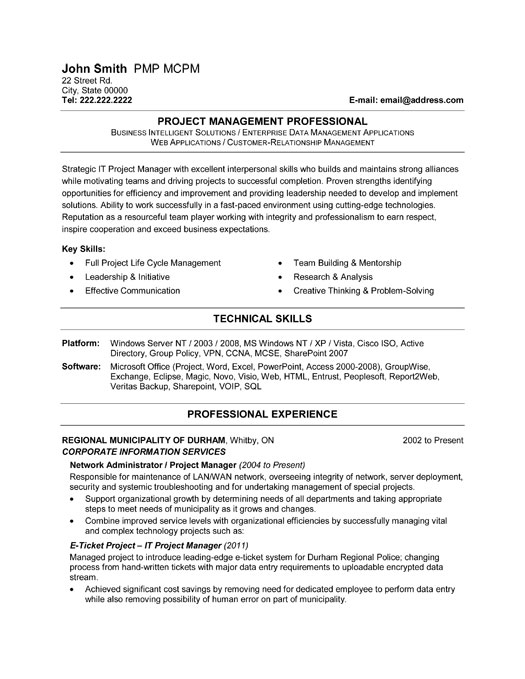 It Project Manager Resume Sample