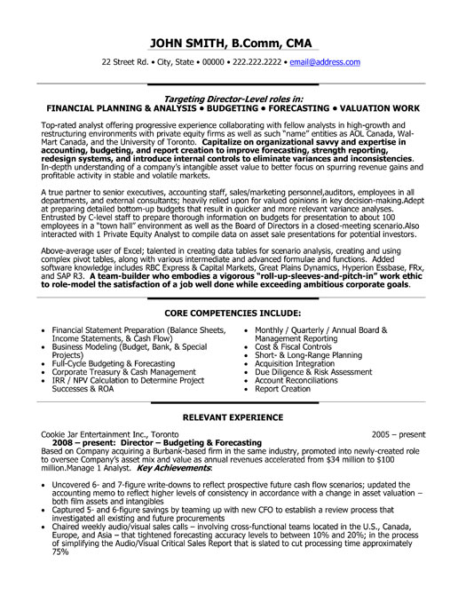 Director of Finance Resume Template