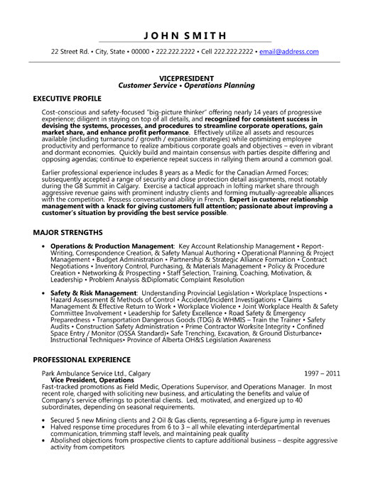 Vice President Resume Example Template Free Download