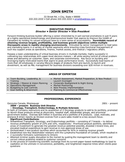 business unit director resume template  premium resume