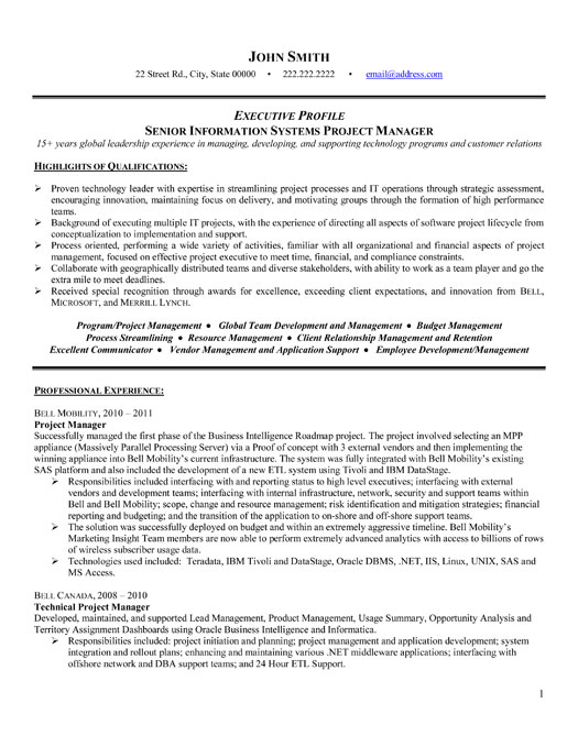 senior project manager resume template
