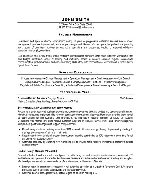 excellent project manager resume example