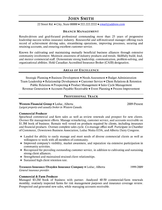 It Project Manager Resume Template