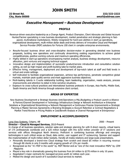 Executive Director Resume Template