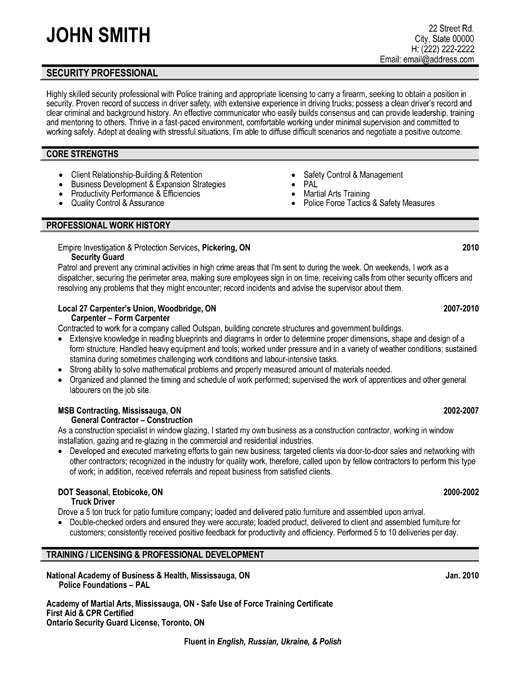 Security Professional Resume Template