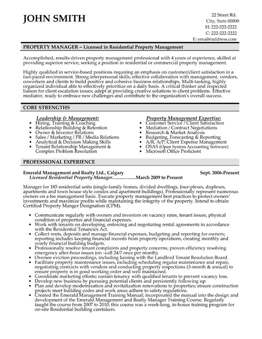 Salesman resume description