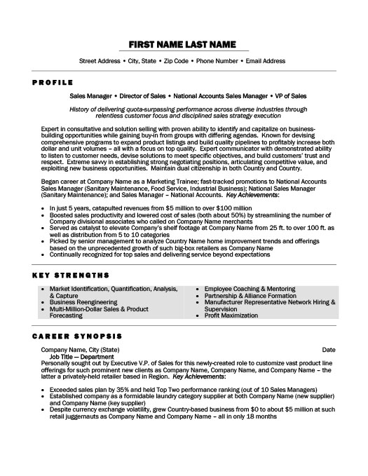 national sales manager resume template