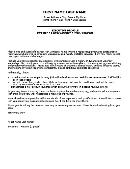 business unit director resume template premium resume samples