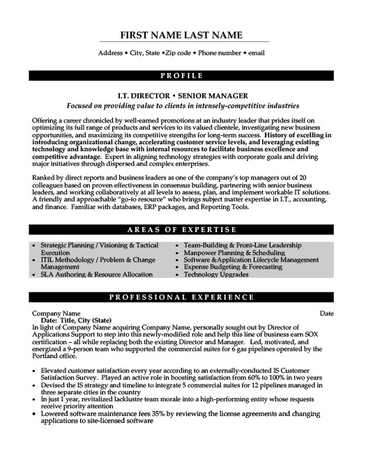 it director or senior manager resume template