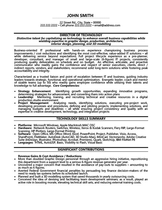 Vice President Resume Example Template Free Download